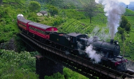 218-The_Viceroy_Steam_Train_Near_Nuwara_Eliya-256597-nuwara_eliya
