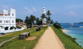 Galle_699