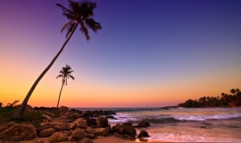 Sunset on Beach with Coconut Trees, Sri Lanka