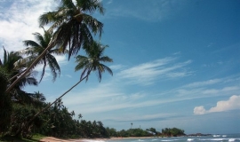 induruwa-beach